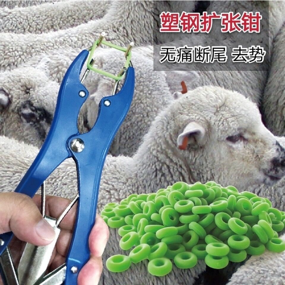仔猪 羊用 断尾钳圈 无血去势钳  剪尾钳 断尾圈 去势圈  扩张钳