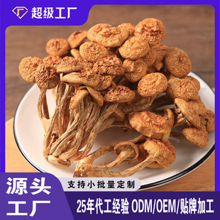 Դ�^�S�����l�SĢ����Ģ������؛ ���ӹ��㹽���������Y��