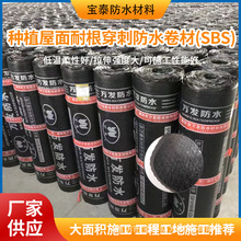 Nֲ͸̷ˮ SBSˮ 픘ֹ©N S