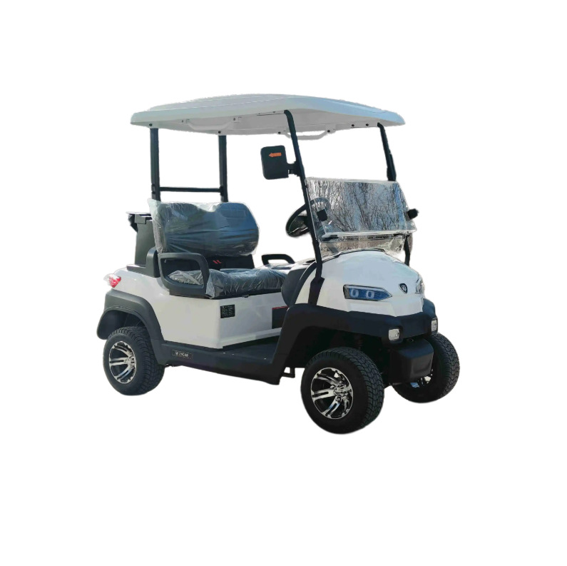 2025 New Electric Golf Cart, Strong Climbing Power, Stable Power, Anti-Slip Design in Rainy Days, a Must-Have for Players