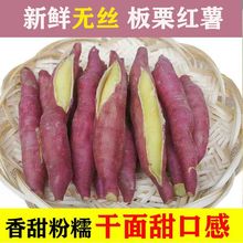 陕西板栗红薯新鲜红蜜薯紫薯沙地地瓜批发超甜糖心红薯3/5/10斤
