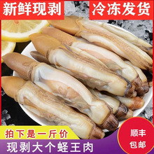 ����S���]���ش��|�������r�|�����r��������|�⺣�rˮ�a���l