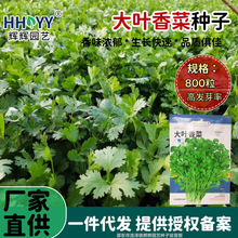 ���~��˷N�ӝ�������Ѳ˷N�߲˷N�Ӳ����׷N�̨СԺ����˷N