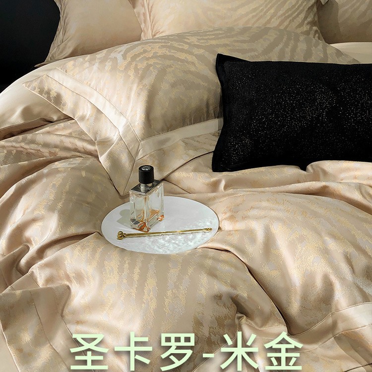 산 카를로 미킨 C17