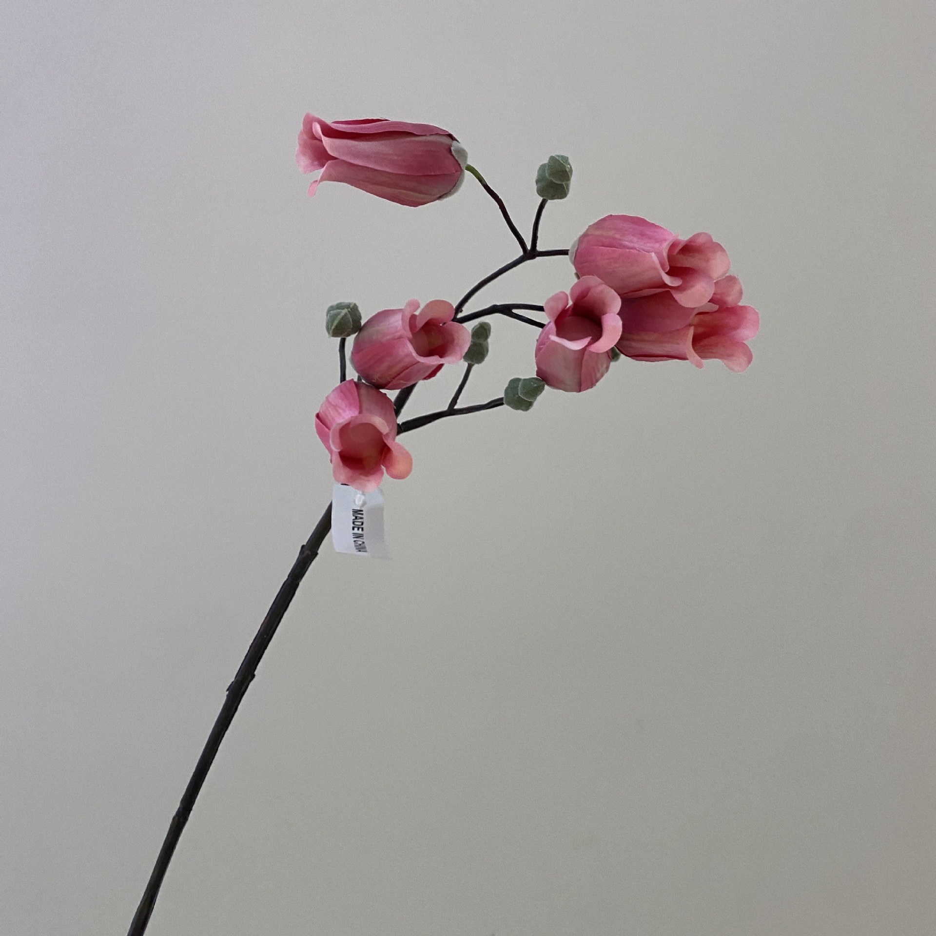 로즈 레드