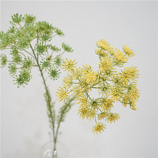 �S�ҬF؛���滨�ٽz��ˇ�쾰�bٻ�ˇ�Ҿ����W���g��O�zӰ����