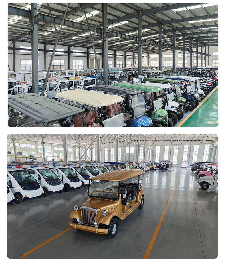 Golf Carts for Export: 2-Seater, 4-Seater, 6-Seater, 8-Seater Electric Golf Carts for Tourist Attractions, Amusement Parks, and Private Properties