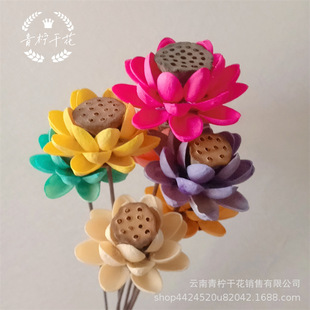 [Pistachio 3 layers] Yunnan dried flower bouquet small happy chrysanthemum diy combination art dried flower fruit shell open smile