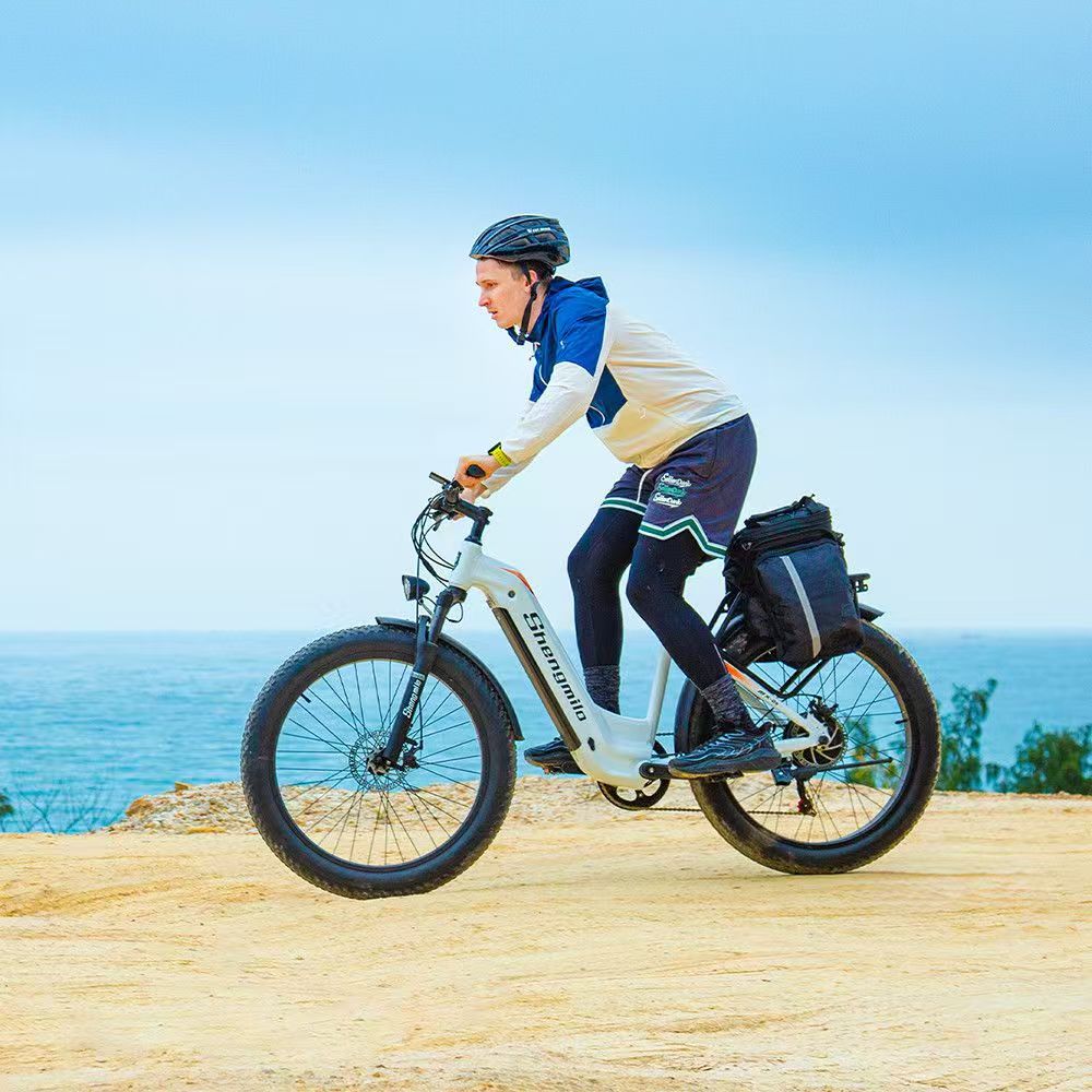 Cross-Border 26-Inch 3.0 Lithium Battery-Assisted Bicycle Rear Drive Motor 500W Oil Disc Brake Power-Off Mileage 90Km