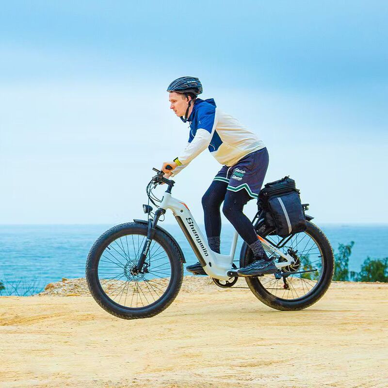 Cross-Border 26-Inch 3.0 Lithium Battery-Assisted Bicycle Rear Drive Motor 500W Oil Disc Brake Power-Off Mileage 90Km