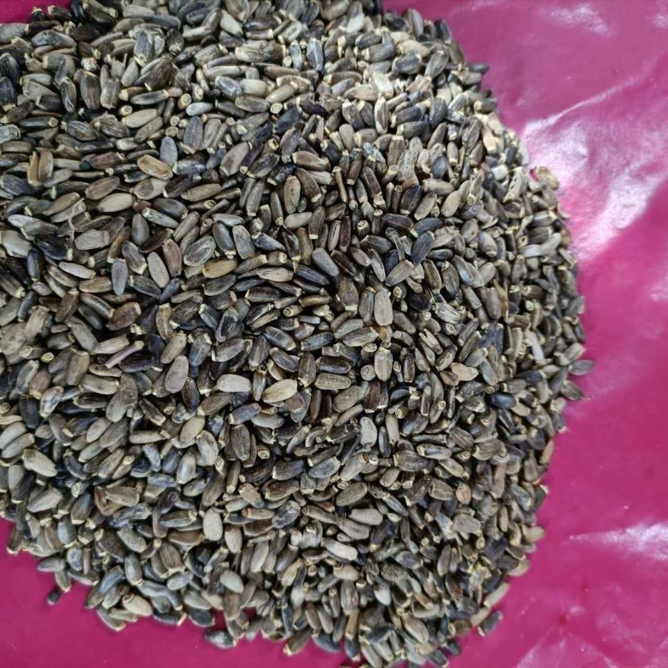 Milk Thistle Seed Shui Fei Ji 水飞蓟 Dried Silybum Marianum Herbal Slices for Decoction and Tea 2000g specifications