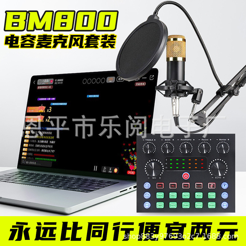 Bm800 Condenser Microphone V8 Sound Card Computer Recording Live Broadcast Sound Card USB Microphone Equipment Full Set Wholesale