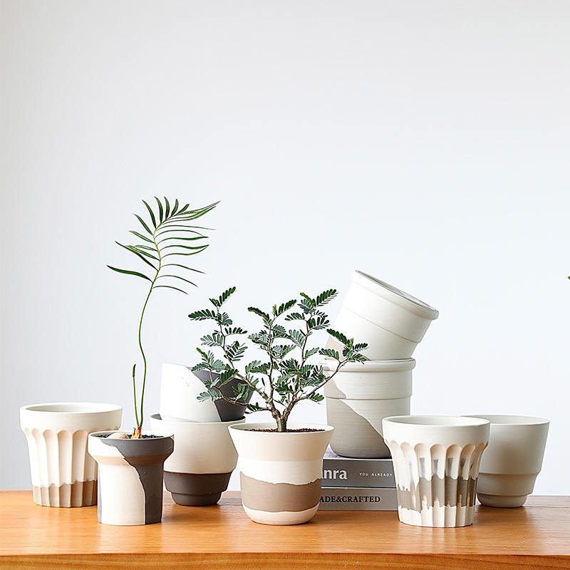 Scandinavian Flower Pot Clay Unglazed Orchid Pottery Pot White Ceramic Coarse Pottery Phalaenopsis Japanese Roman Set Pot Small Green Plant