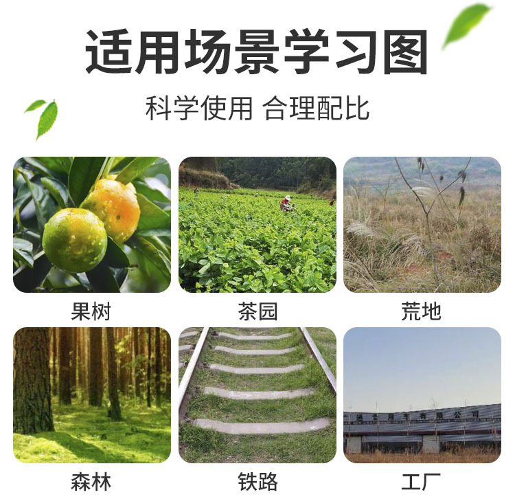 �������ͼ