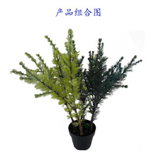 �����ɼľ�����ɘ��~ֲ���ɼ���~����ɼ�~����DIY�bS�����l