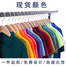 速干专业运动t恤男女短袖防晒透气圆领免烫凉感男士翻领polo衫杨