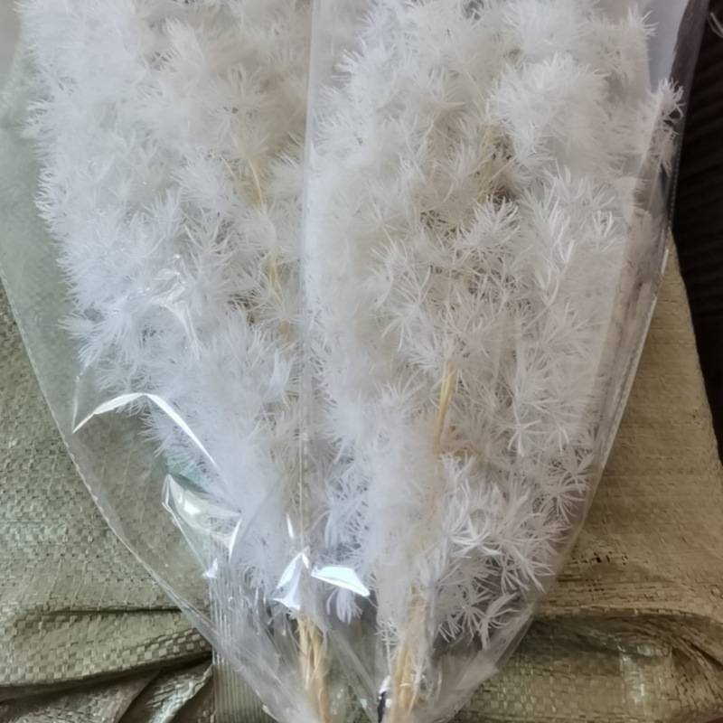 화이트(85-105g)-드라이플라워백