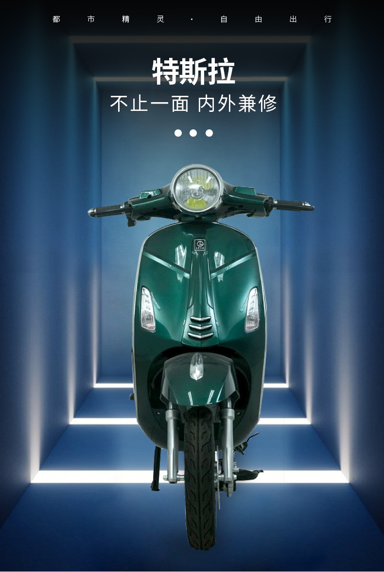 Export Electric Car Tsl Adult Mobility Electric Car Electric Motorcycle 48Vtsl Double Electric Car for Outings
