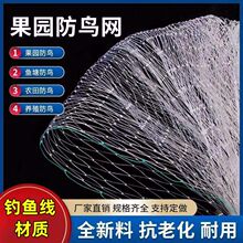 樱桃果树防鸟网果园菜地防鸟网尼龙网葡萄网蔬菜大棚果园防鸟农用