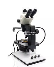 FABLE��ʯ�@΢�R�ֹ��R�錚�b���z�y�̌W��Ӗ��ʯ̨���̨��ɫ