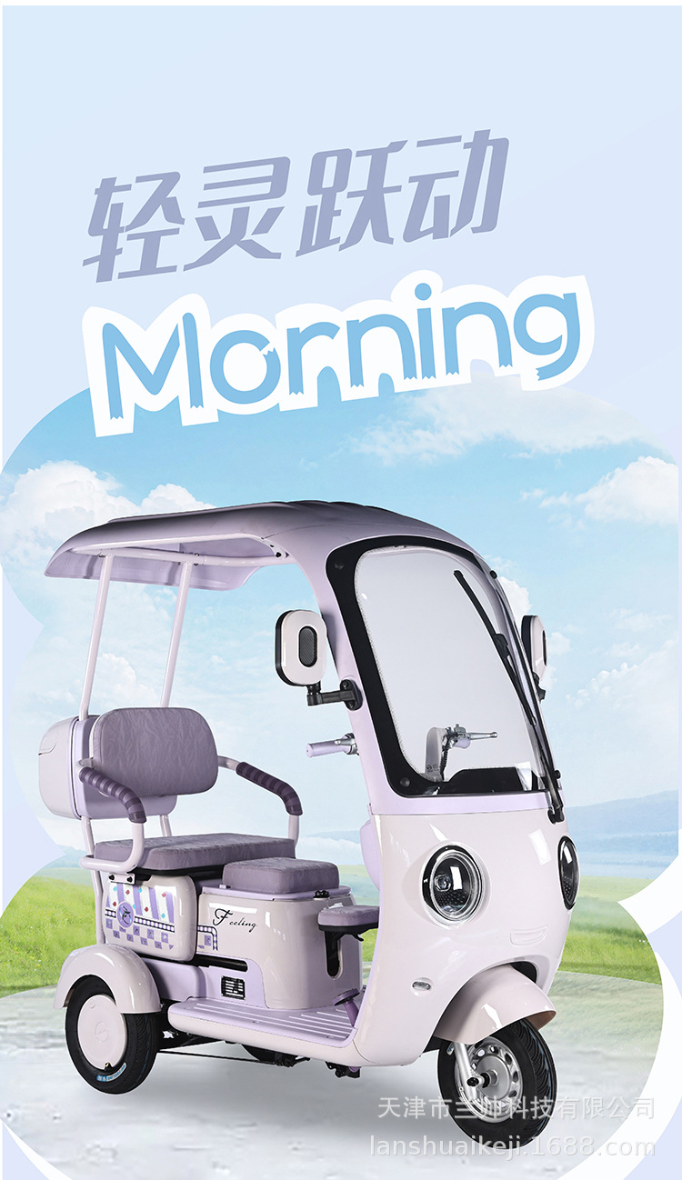New National Standard Electric Leisure Tricycle Small Vehicle for Kids