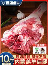 羊肉新鲜羊后腿肉整只现杀羔羊肉5斤羊排烤羊腿烧烤冷冻食材商用