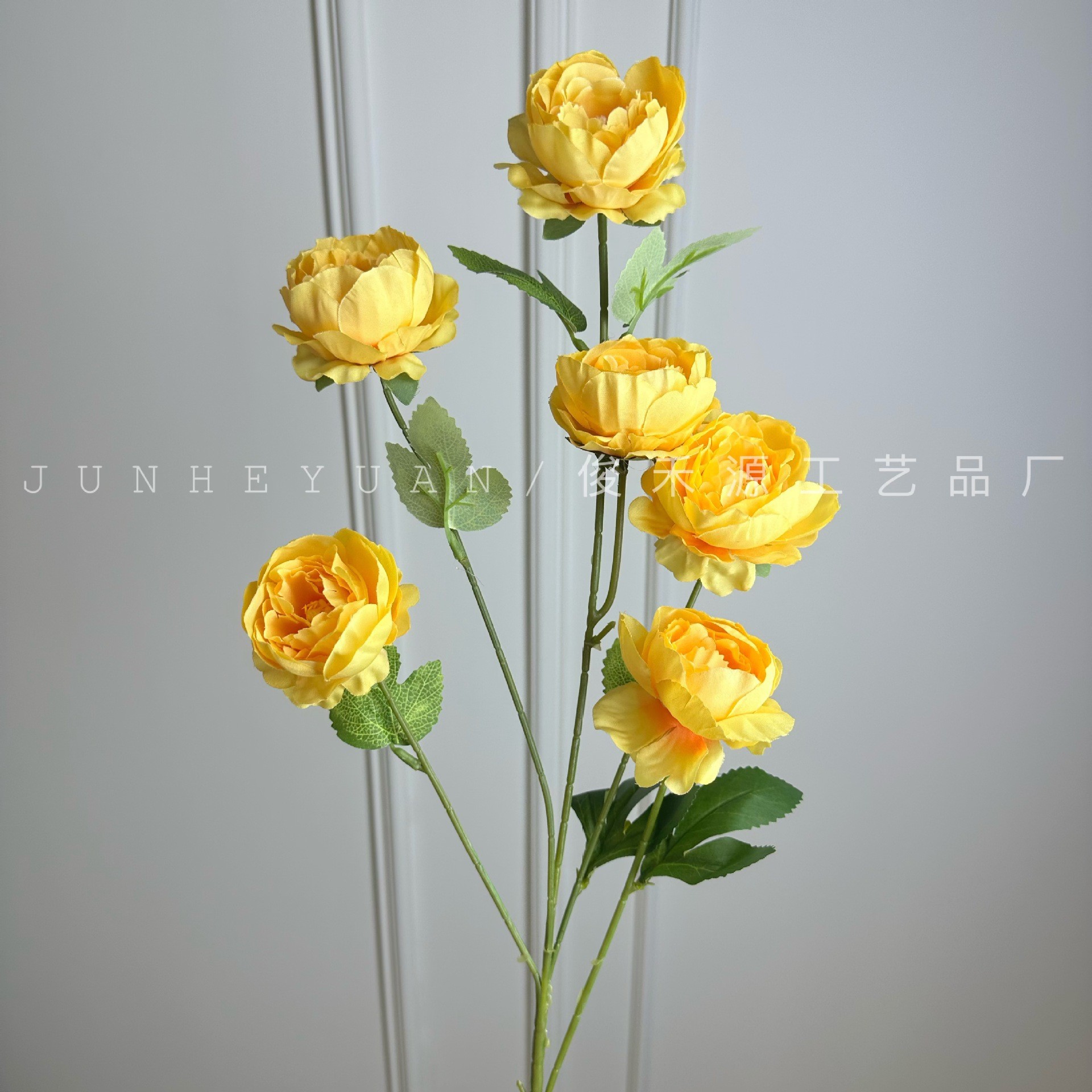 6개의 절묘한 모란