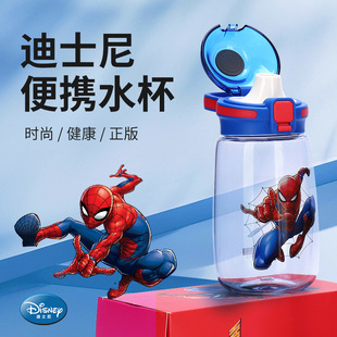 Disney, summer capacious sports bottle, 580 ml