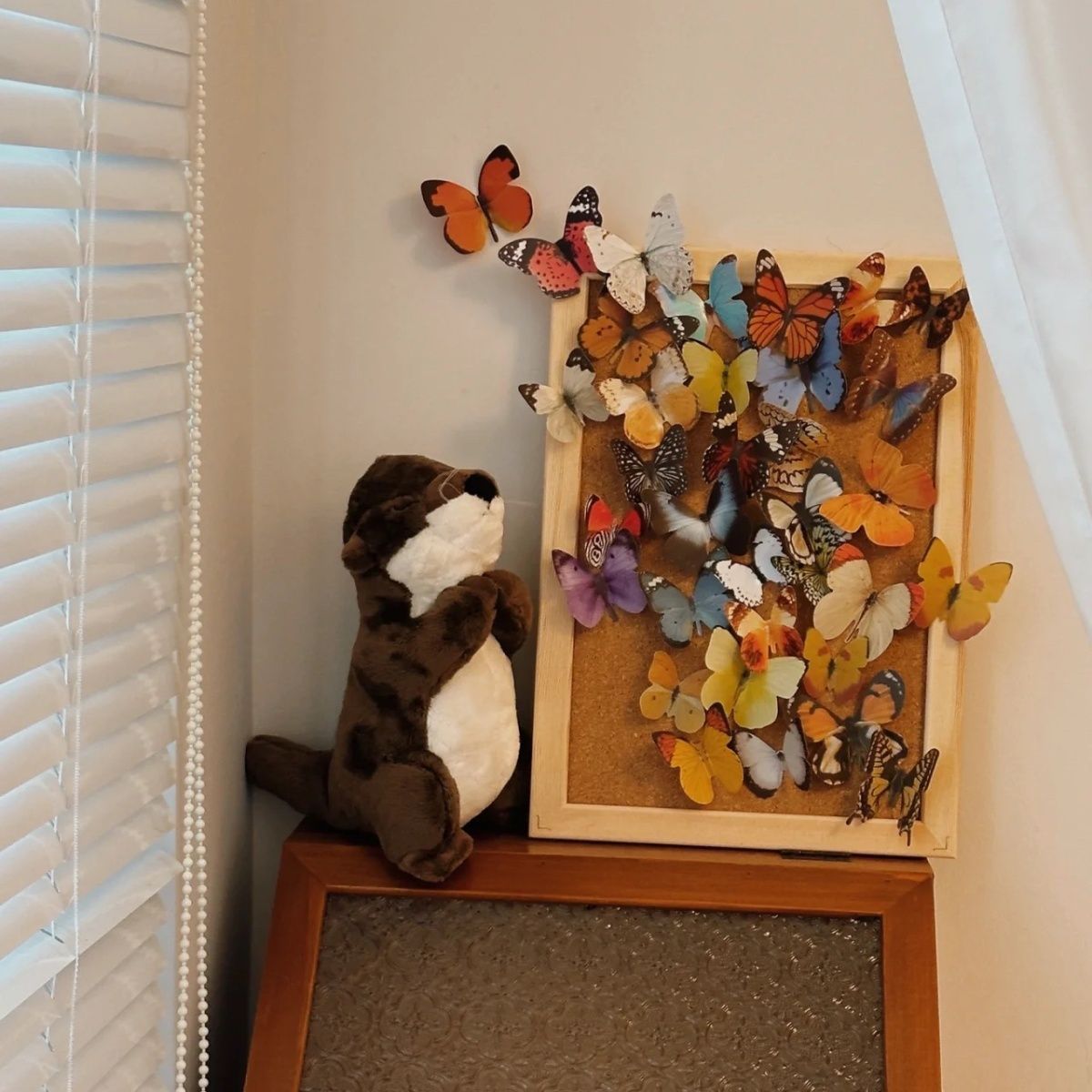 Materials set with butterfly