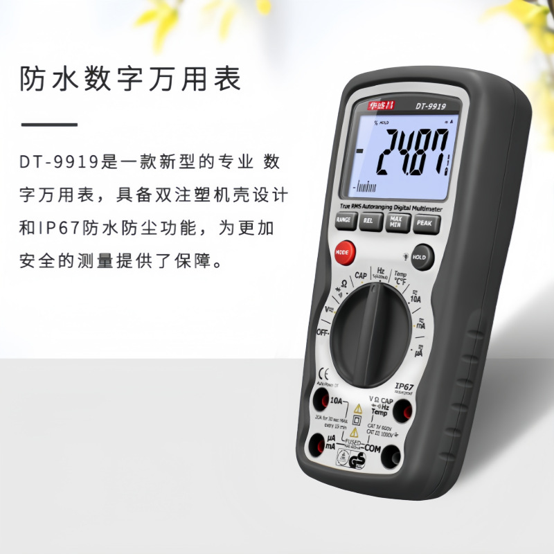 CEMʢDT-9919ñ רҵˮñDT9919