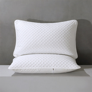 Anti-Dirty Anti-drooling Pillowcase Anti-head Oil Pillow Core Protection Isolation Layer Inner Pillowcase Pillowcase Anti-sweat
