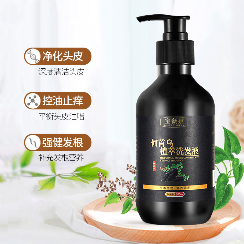Champú de Polygonum Multiflorum Control de Aceite, Anti-caspa, Nutritivo para Cabello
