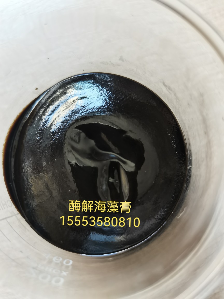 酶解寡糖海藻膏酶解海藻原浆酶解海藻膏工厂直供酶解海藻膏