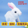 White rabbit