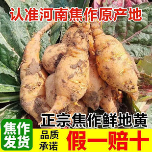 ���u�r���S���Ͻ����خa�r���ԷN�ѵ��S���r���S�������r�F��