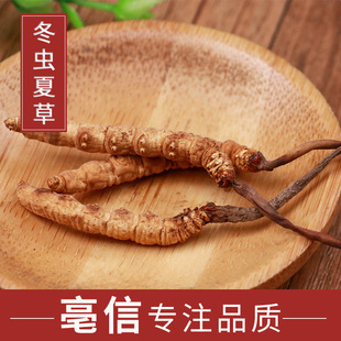���l��؛ ���x�Ĳ� �ߺ����x�� ��� ���NҎ�� ����ă�