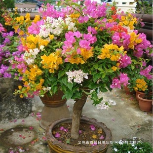 ����÷�������������ļ��_���ܲ��������ذ�ֲ���҃��̨ͥ