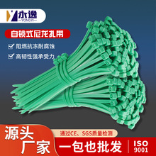 �Gɫ�����������lʳƷ�k������������5*300�����������ͺ�������