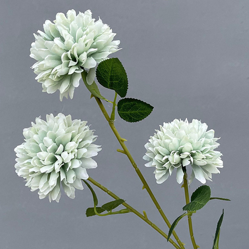 3 fork dandelion green ordinary