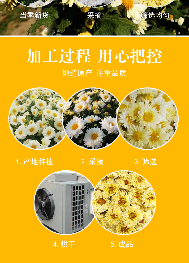Hang Bai Ju Dried Chrysanthemum Flowers (Chrysanthemum morifolium) — 500g Loose Herbal Tea preparation
