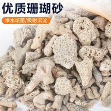 珊瑚骨滤材鱼缸过滤材料净水珊瑚石净化珊瑚砂鱼缸滤材其他