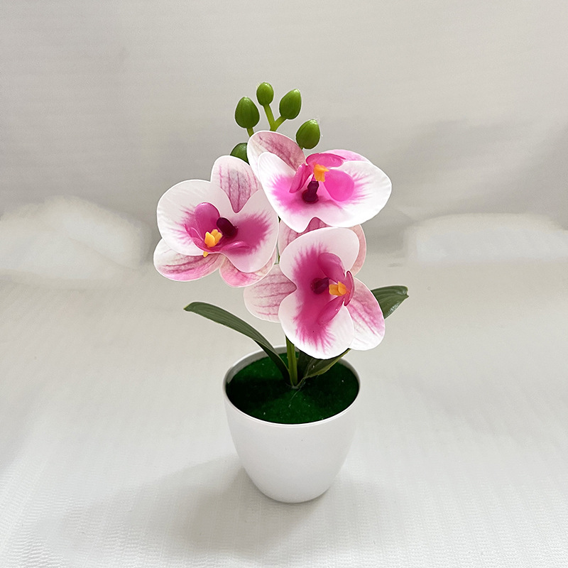 퍼플 하트 (높이 20cm 폭 11cm)