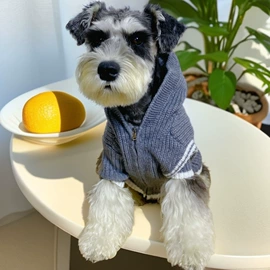 狗狗服装;猫猫服饰;宠物围巾