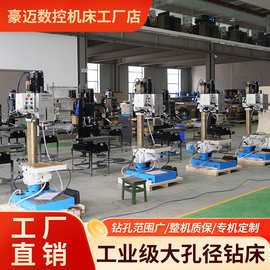 直销立式钻床 Z5045小型家用钻攻打孔自动进给走刀钻铣床钻床