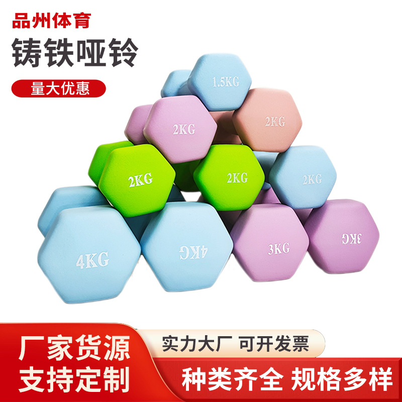 Small Dumbbells for Women, Custom-Made Plastic-Coated Dumbbells, Yoga Fitness Set Wholesale
