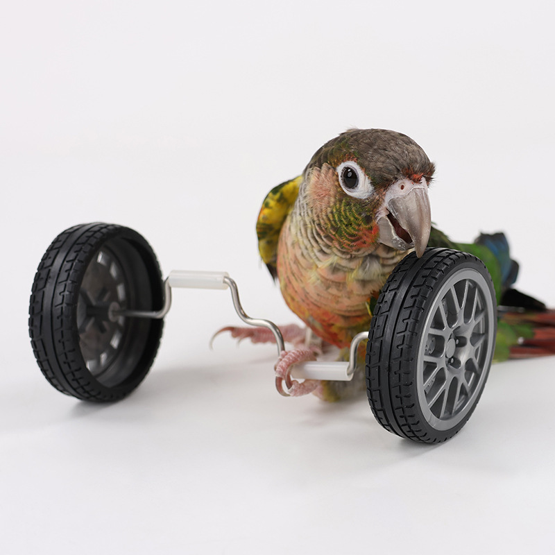 Parrot Special Balance Bike Bicycle Parrot Decompression Toy Training Bird Toy Educational Toy Bird Cage Accessories Parrot Special Balance Bike Bicycle Parrot Decompression Toy Training Bird Toy Educational Toy Bird Cage Accessories