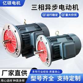 三相异步电动机 YE3系列Y2 纯铜 30kw-4 YE2YE3-200L-4 马达厂家