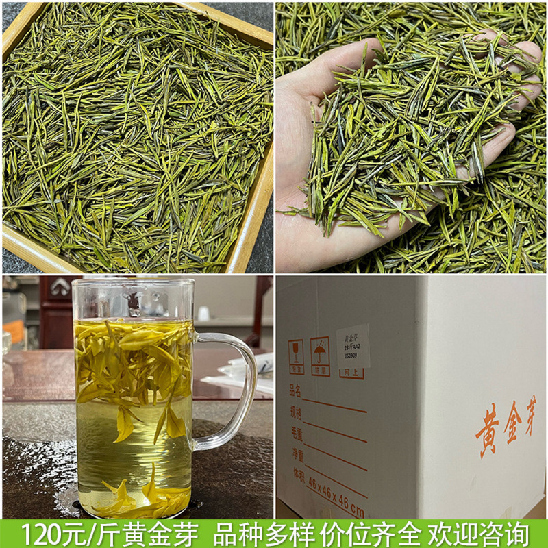 浙江2025年新茶明前茶春茶緑茶安吉工芸濃香型黄金芽茶葉卸売りバラ|undefined