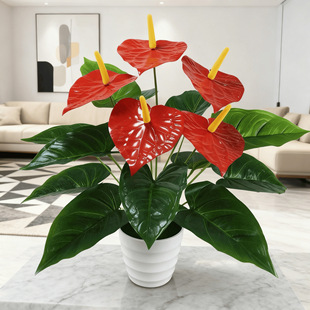 �߷���t��3D��ӡ�ٻ�����Gֲ�����辰ֲ���҃ȼҾ��b���c�b�