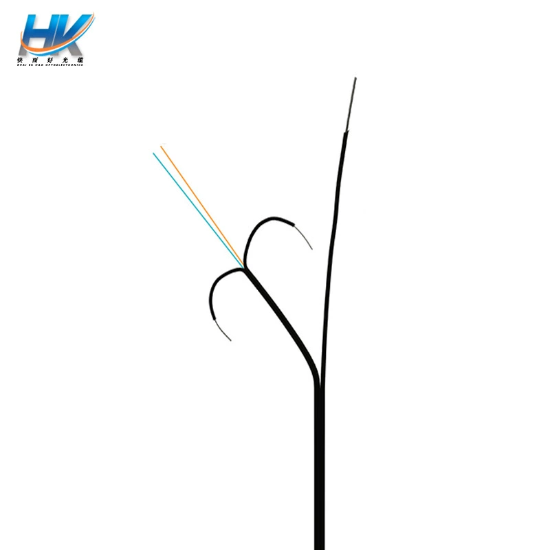 2FTTH